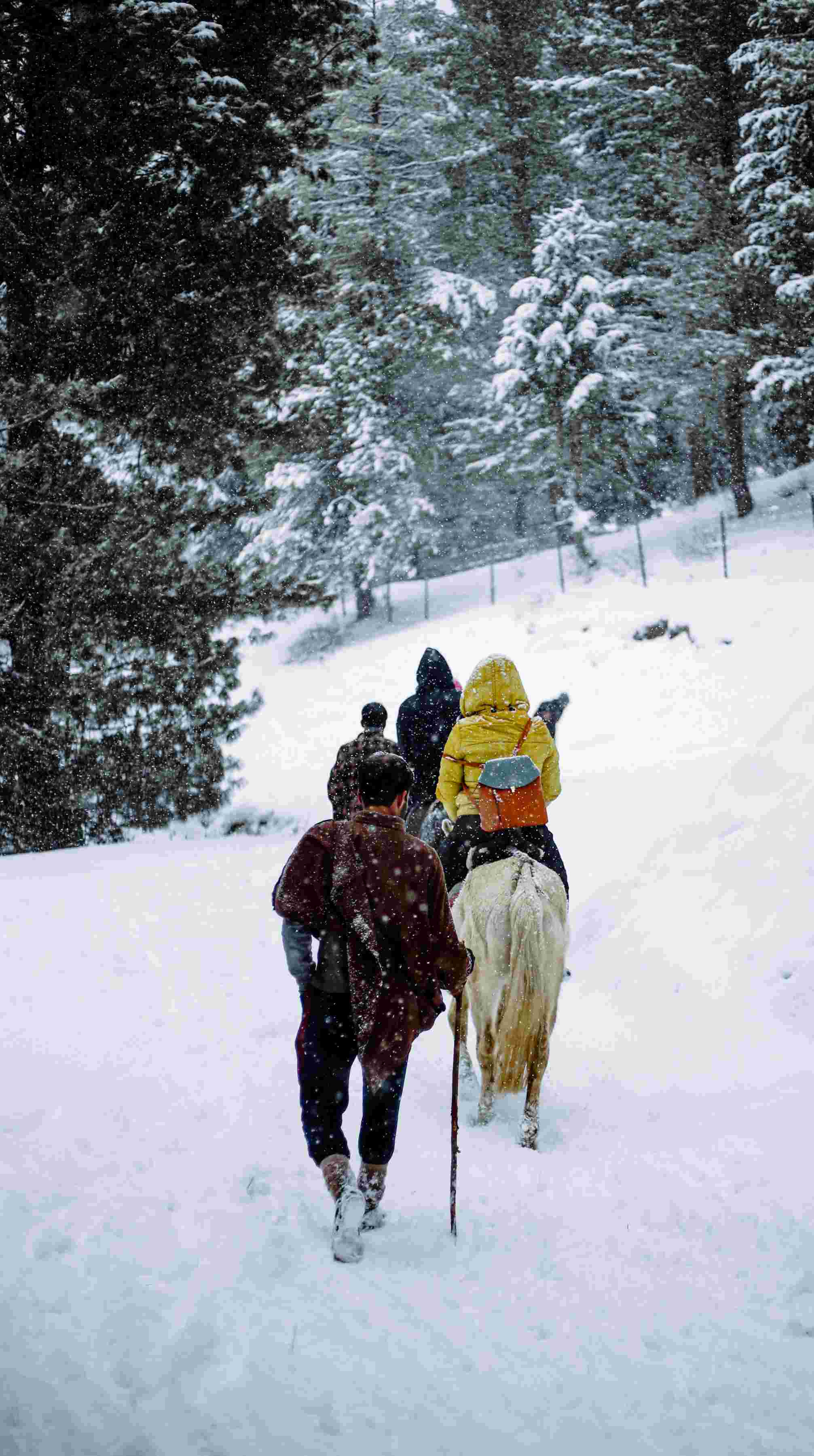 Adventure Treks